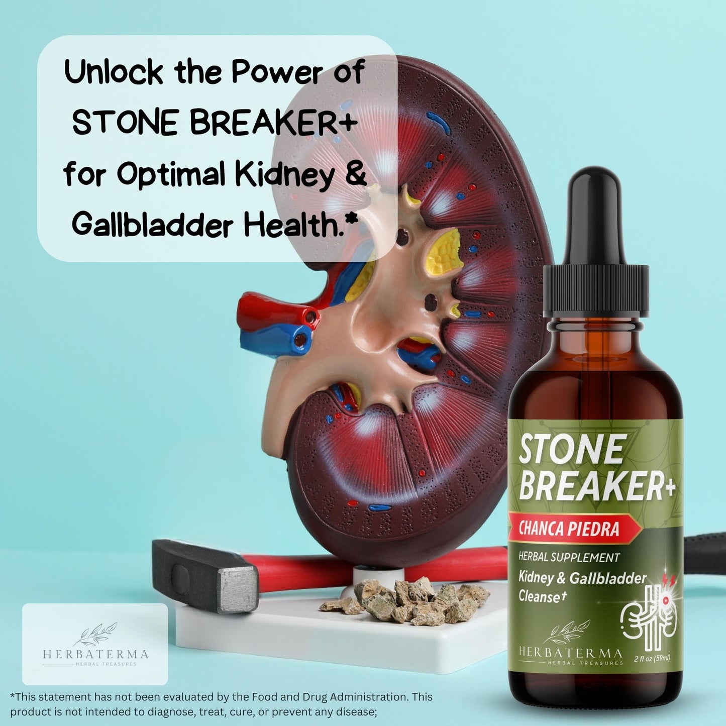 Chanca Piedra - Stone Breaker Liquid Formula