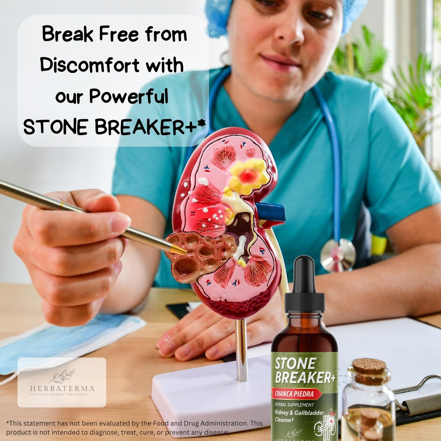 Chanca Piedra - Stone Breaker Liquid Formula