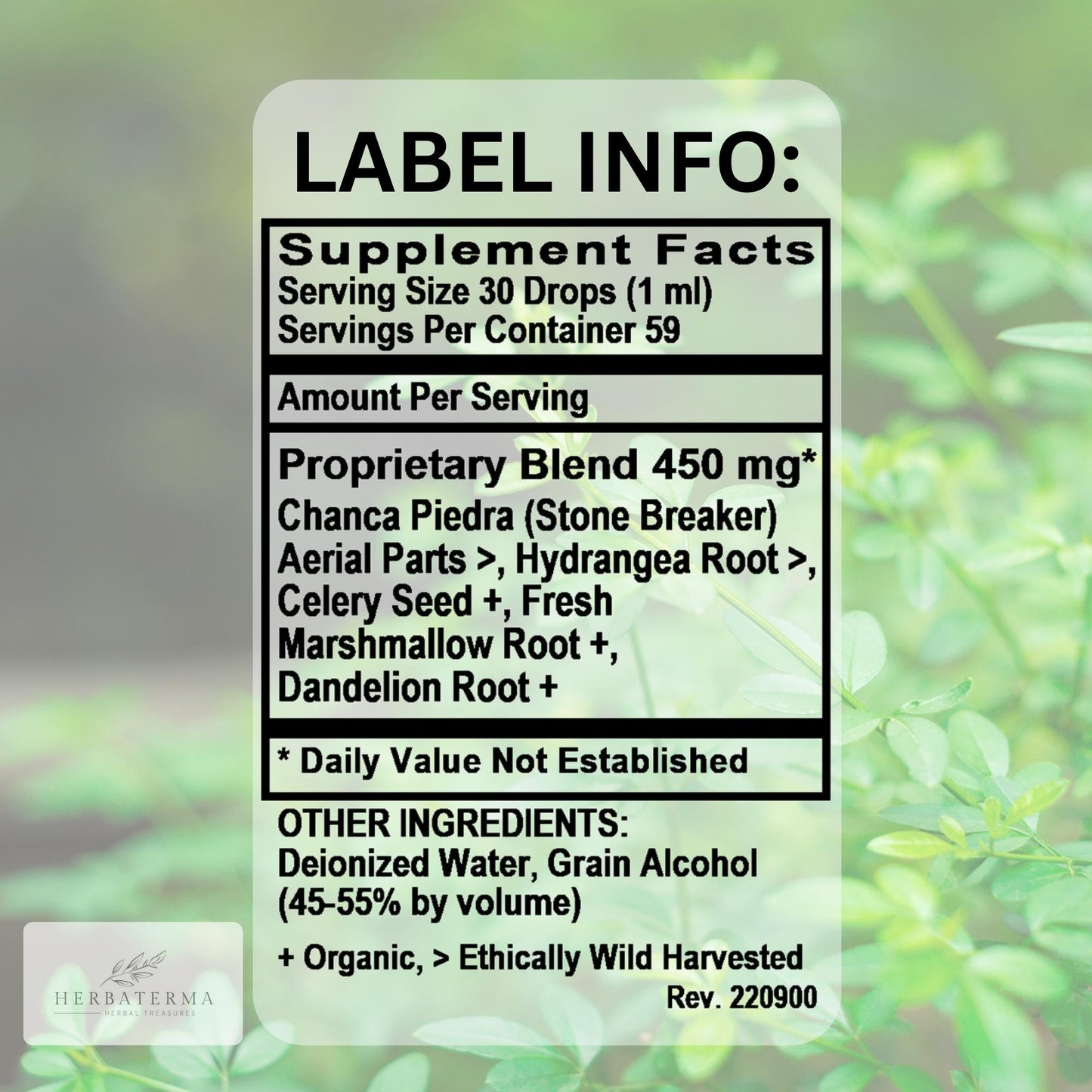 Chanca Piedra - Stone Breaker Liquid Formula